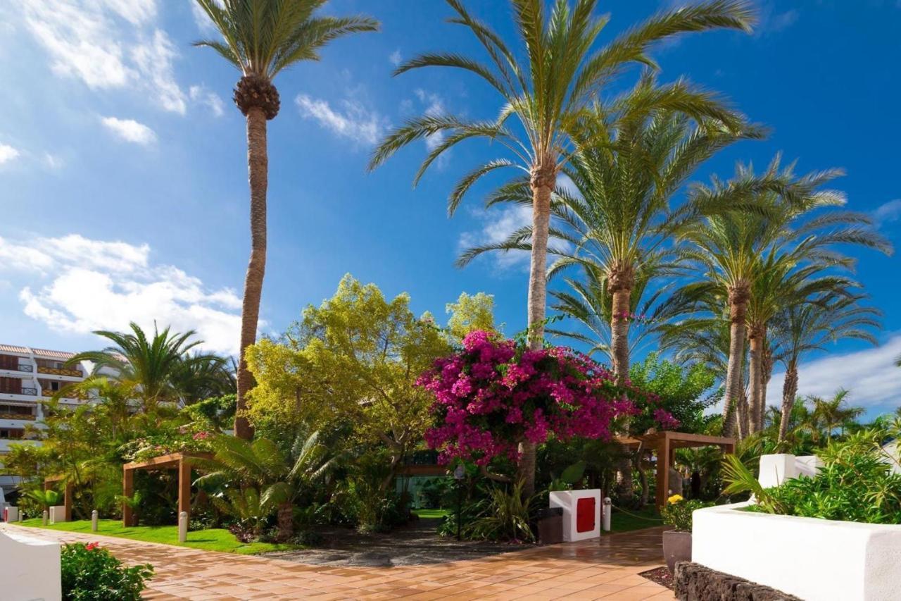 Duplex 3 Bed Apartment In Las Americas By Dream Homes Tenerife Playa de las Américas Eksteriør billede